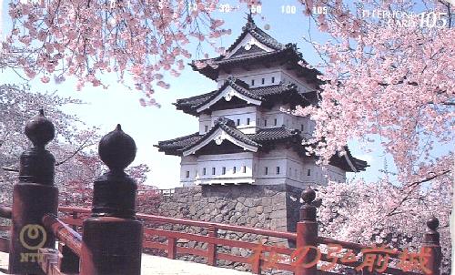 Sakura no Hirosaki jō - Zamek Hirosaki wśród kwitnących wiśni